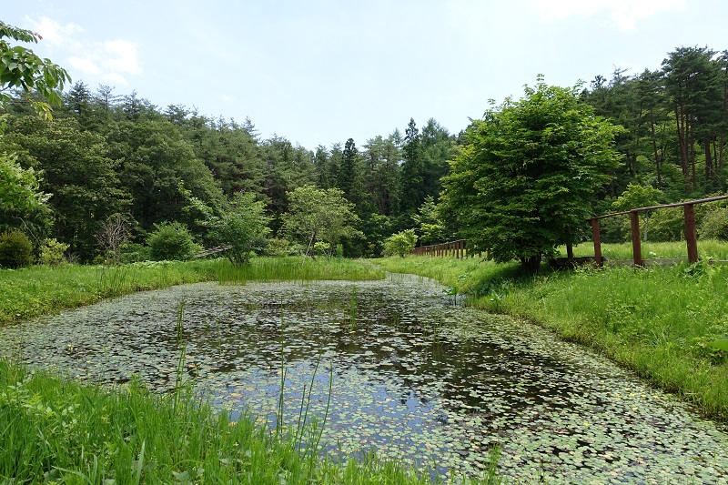 久保川イーハトーブの景色の写真
