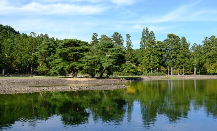 毛越寺の大泉ヶ池の風景写真