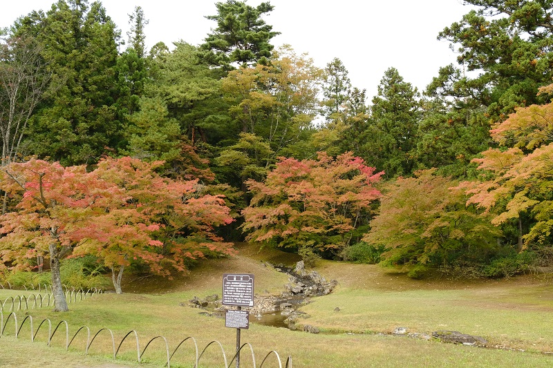 毛越寺の紅葉10月24日の風景写真