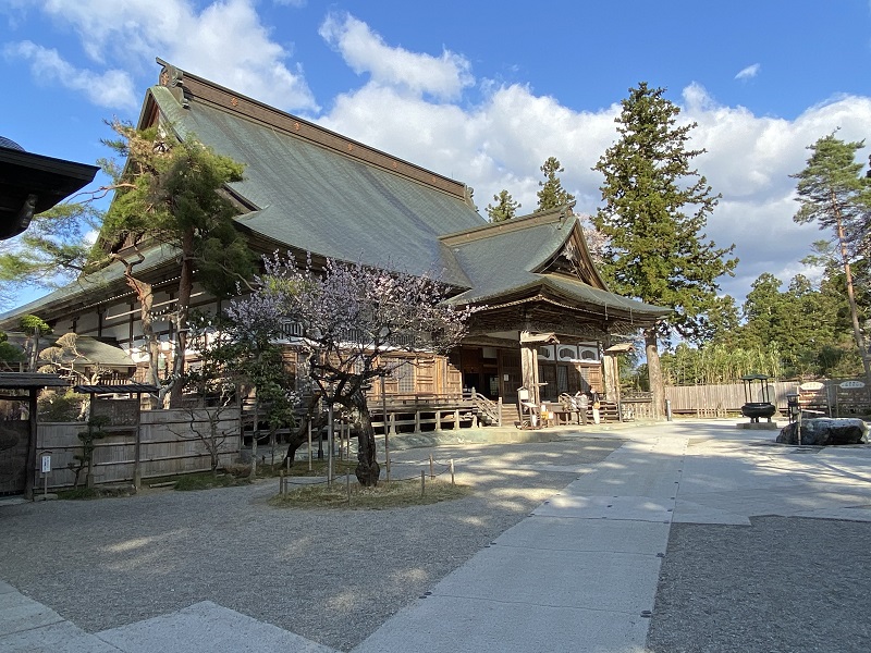 中尊寺の桜 21春の最新開花情報とアクセス ベリーノ スタッフブログ