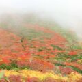 【最新】栗駒山(須川岳)の秋！紅葉情報2021